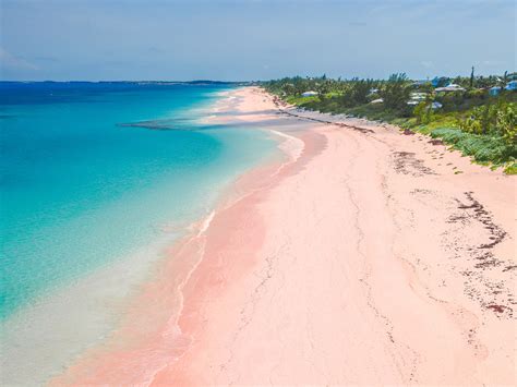 Pink beach bahamas. Things To Know About Pink beach bahamas. 